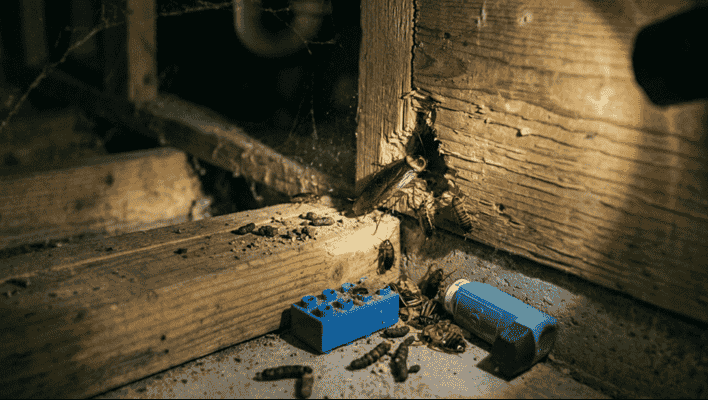 Cockroaches crawling near a child's blue toy block and a medical asthma inhaler on a dusty floor, illustrating the hidden health risks of untreated pest infestations in Fort Collins homes